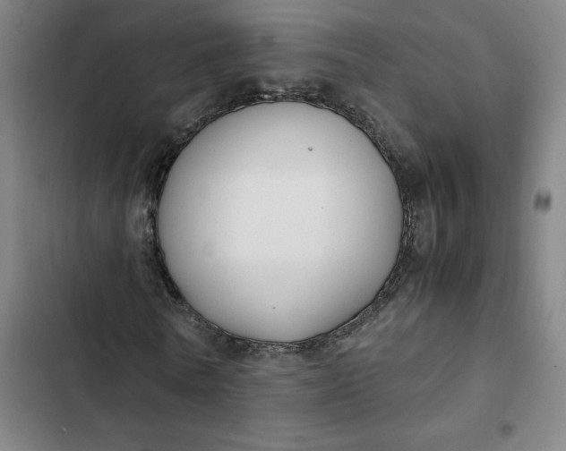 X0000102470770200808221642