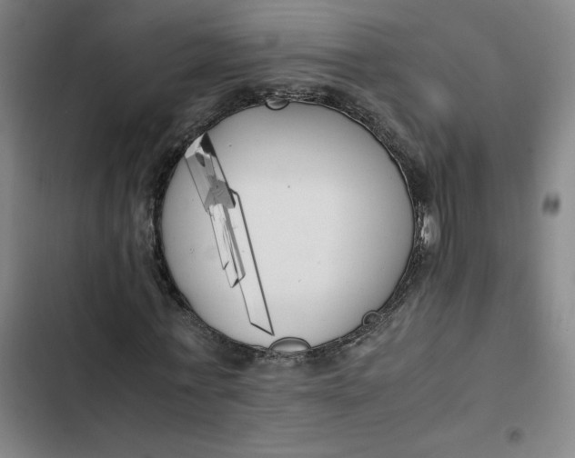 X0000102470771200808221642