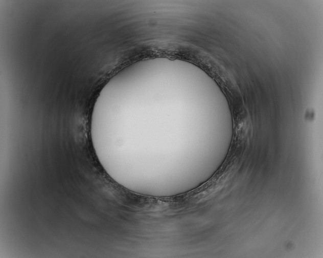 X0000102470772200808221642