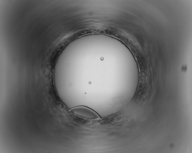 X0000102470773200808221642