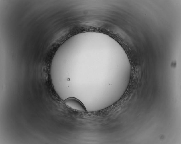 X0000102470774200808221642