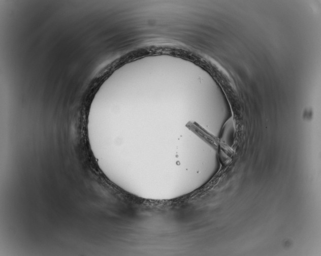 X0000102470775200808221642