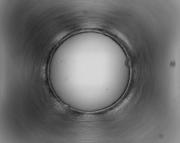 X0000102470777200808221642