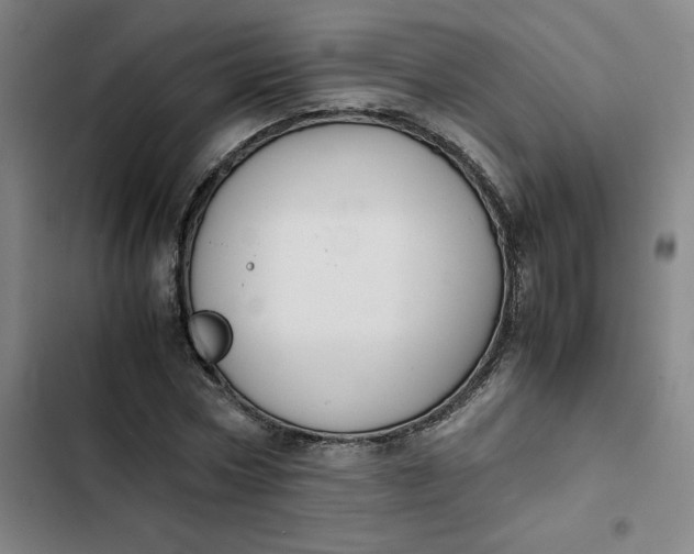 X0000102470778200808221641