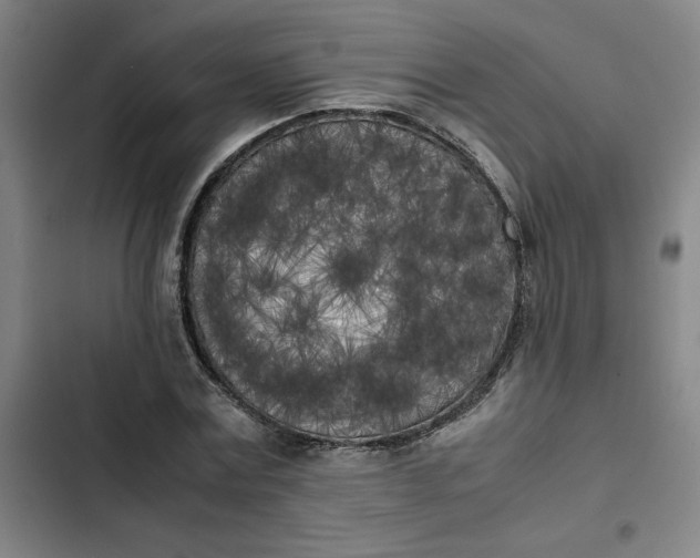 X0000102470779200808221641