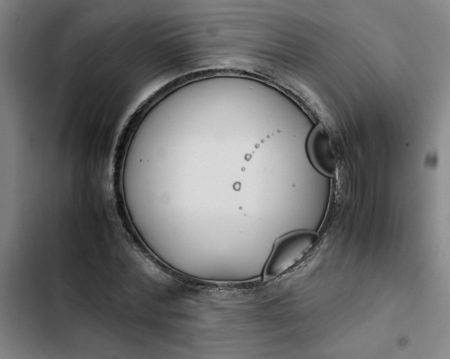 X0000102470780200808221641