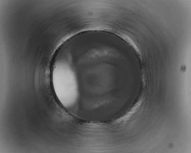X0000102470781200808221641
