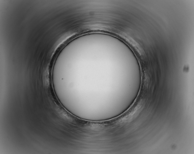 X0000102470782200808221641
