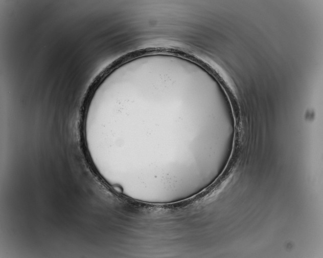 X0000102470783200808221641