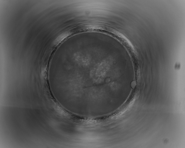 X0000102470785200808221641