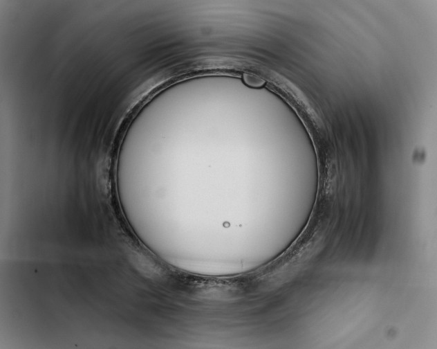 X0000102470786200808221641