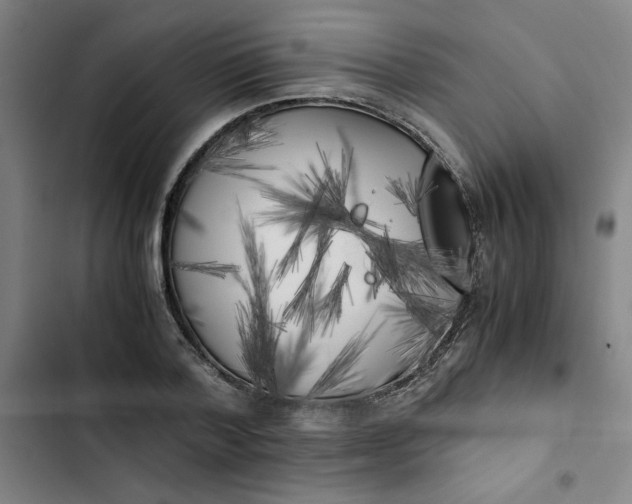 X0000102470788200808221641
