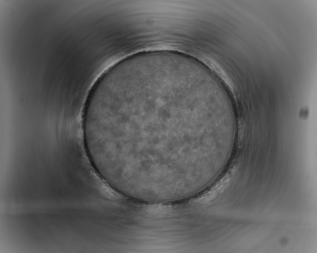 X0000102470789200808221641