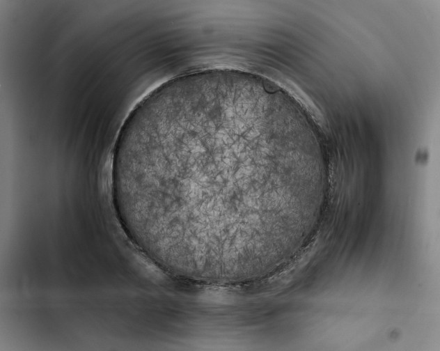 X0000102470790200808221641