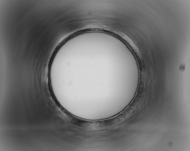 X0000102470791200808221641