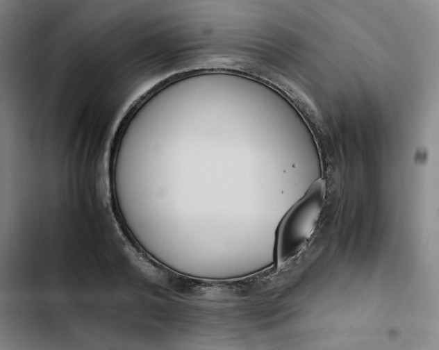 X0000102470792200808221641