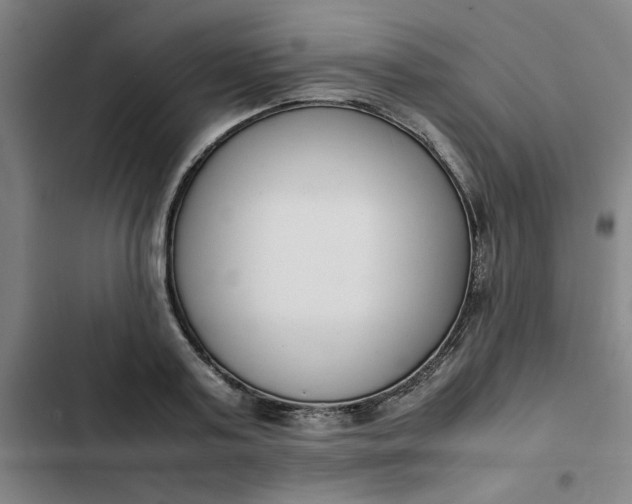 X0000102470795200808221641
