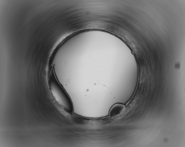 X0000102470796200808221641