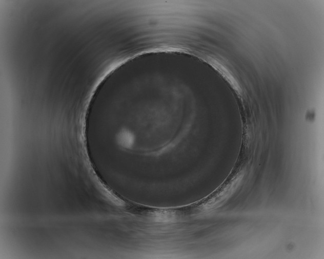 X0000102470797200808221641