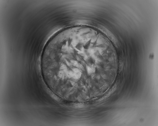 X0000102470798200808221641
