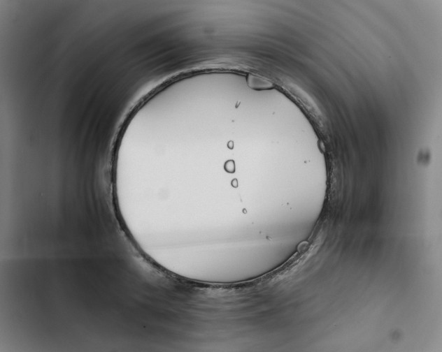 X0000102470800200808221641