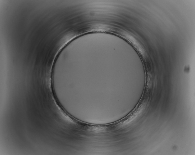 X0000102470802200808221641