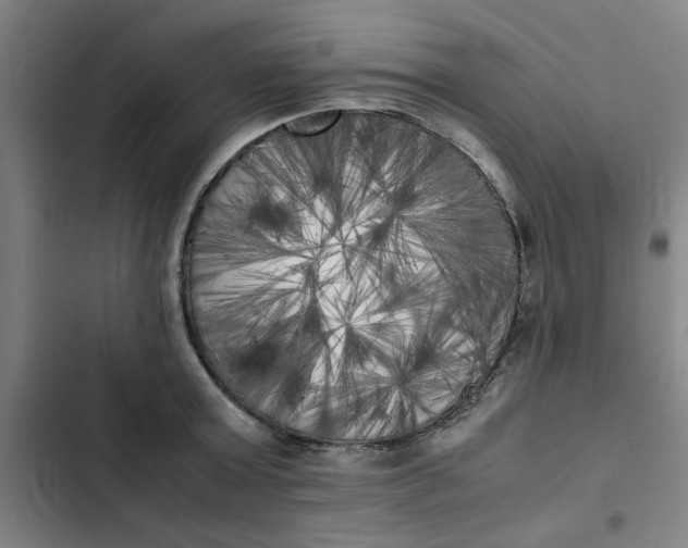 X0000102470803200808221641
