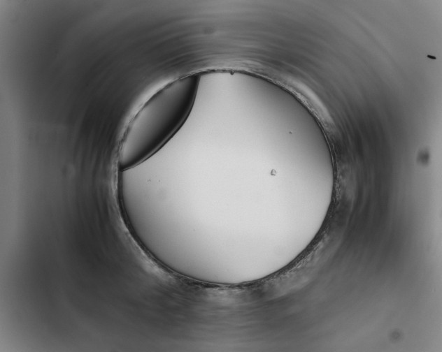 X0000102470804200808221641