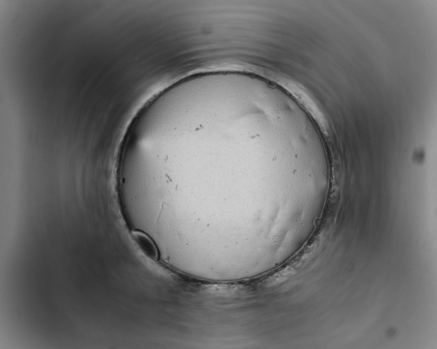 X0000102470805200808221641