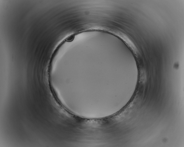 X0000102470806200808221641