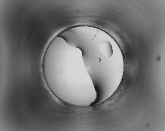 X0000102470807200808221641