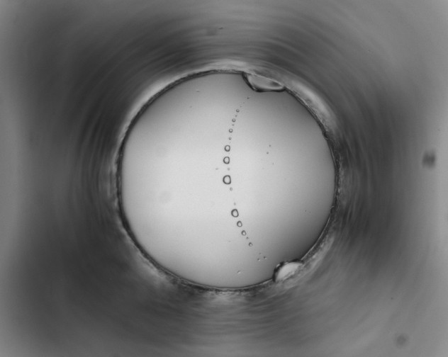 X0000102470808200808221641