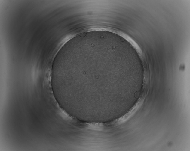 X0000102470809200808221641