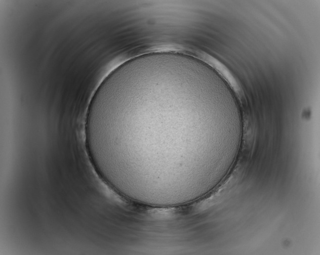 X0000102470810200808221641
