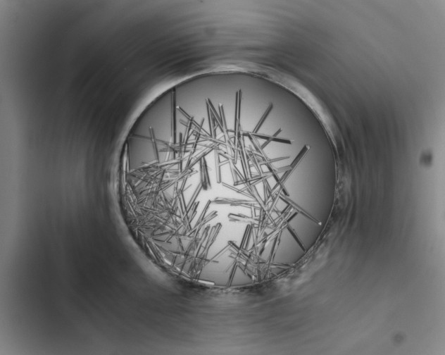 X0000102470811200808221641