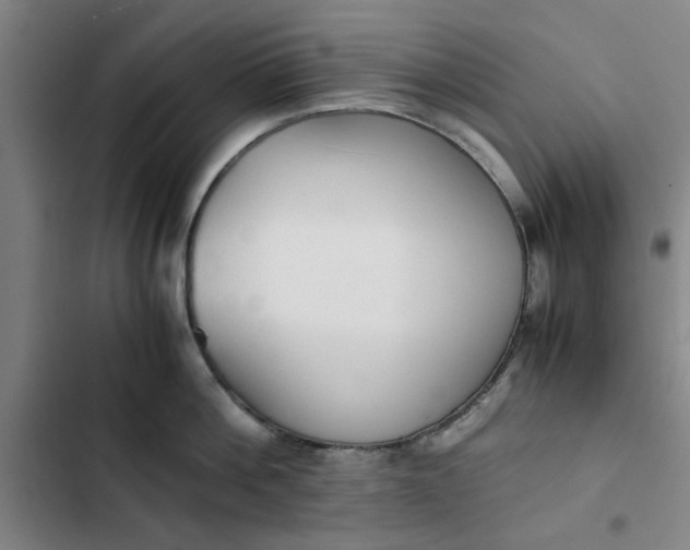 X0000102470812200808221641