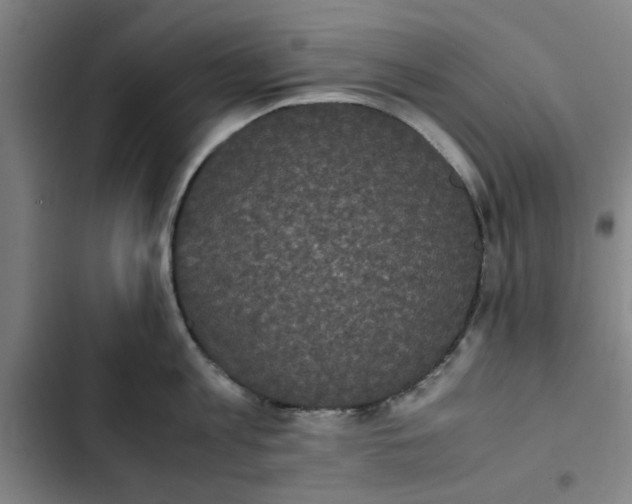 X0000102470813200808221641