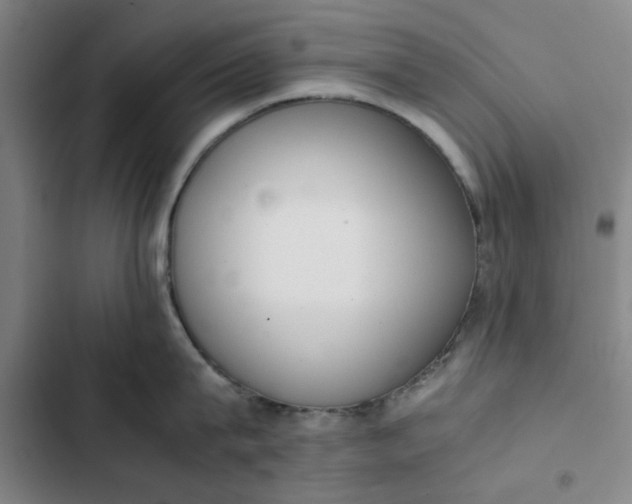 X0000102470815200808221641