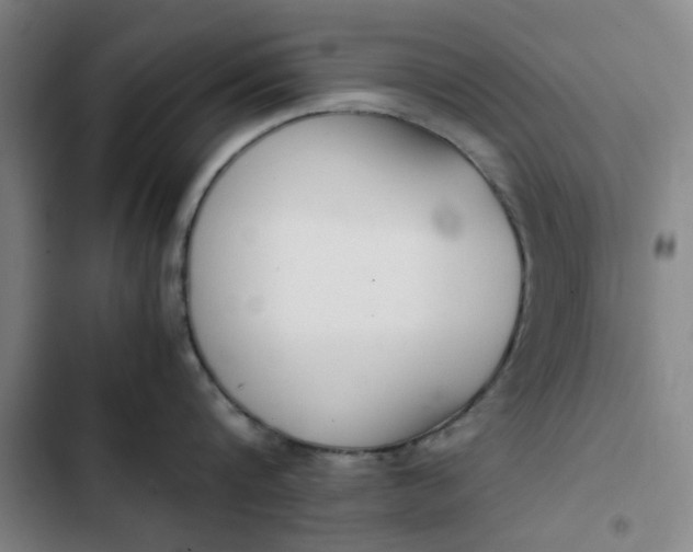 X0000102470816200808221641