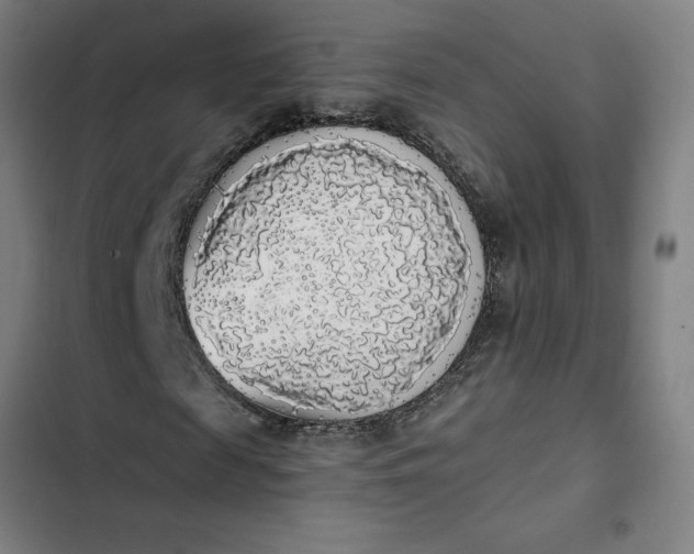 X0000102470817200808221640