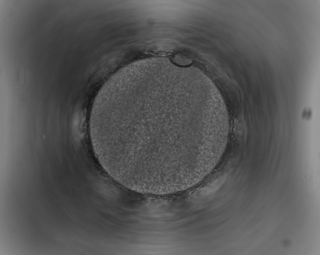 X0000102470818200808221640