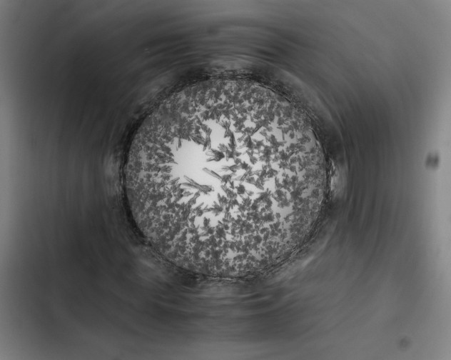 X0000102470819200808221640
