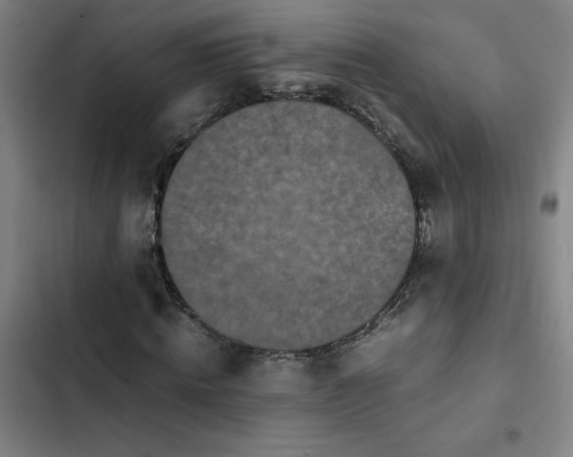 X0000102470820200808221640