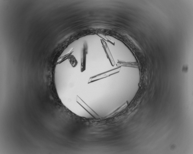 X0000102470821200808221640