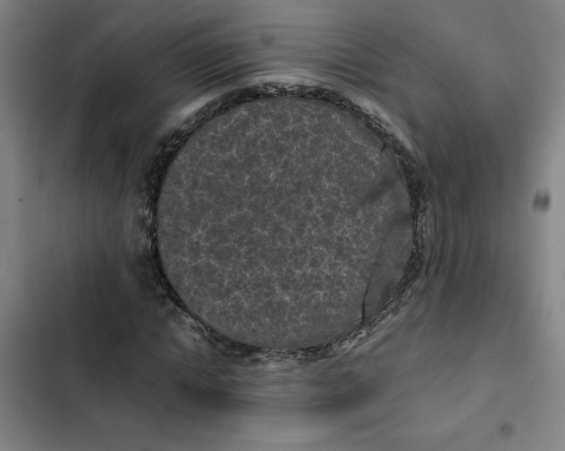 X0000102470822200808221640