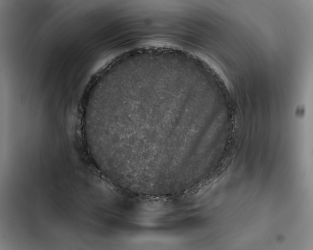 X0000102470823200808221640