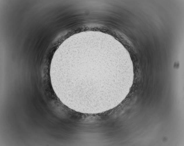 X0000102470824200808221640
