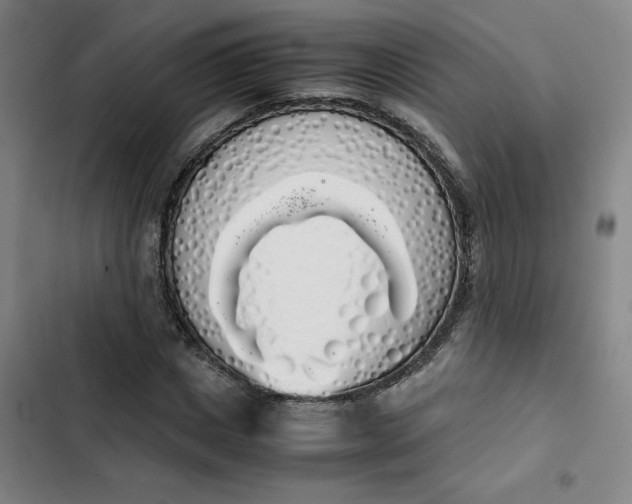 X0000102470825200808221640