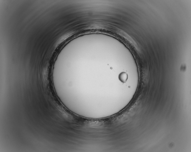 X0000102470826200808221640