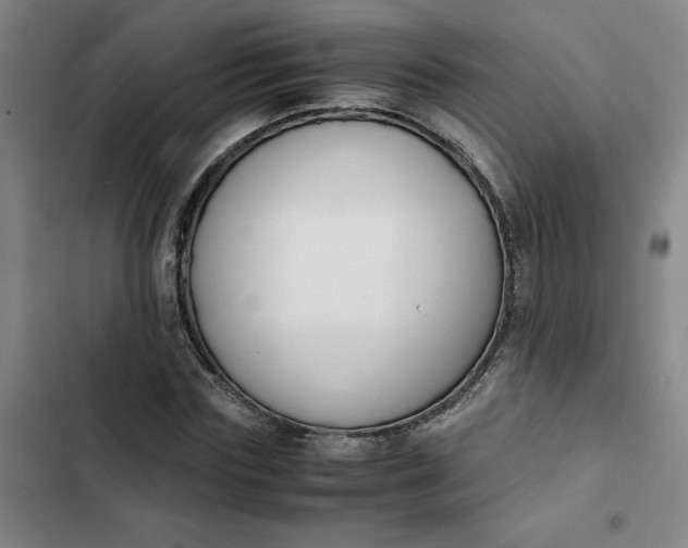 X0000102470827200808221640